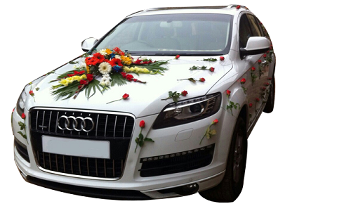 WEDDING CARS IN UDAIPUR